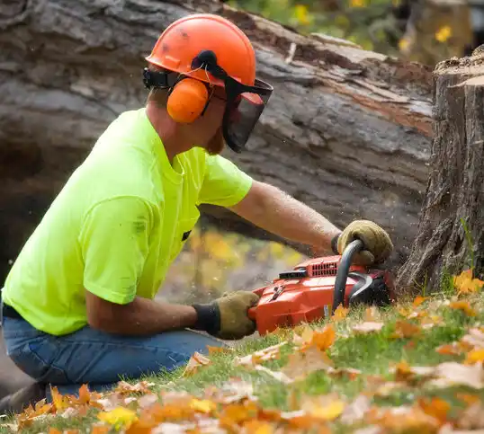 tree services Burnside